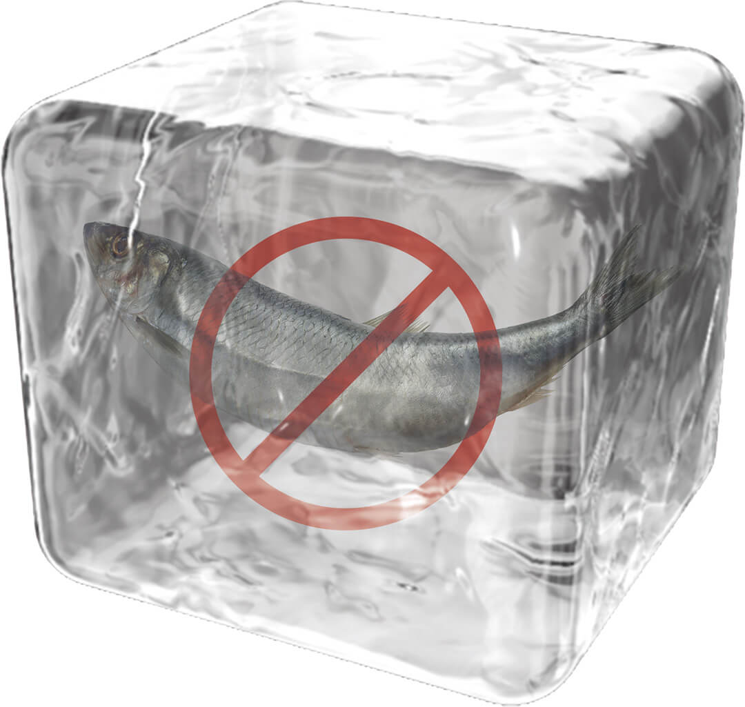 Sub-Zero-Wolf_History_1950